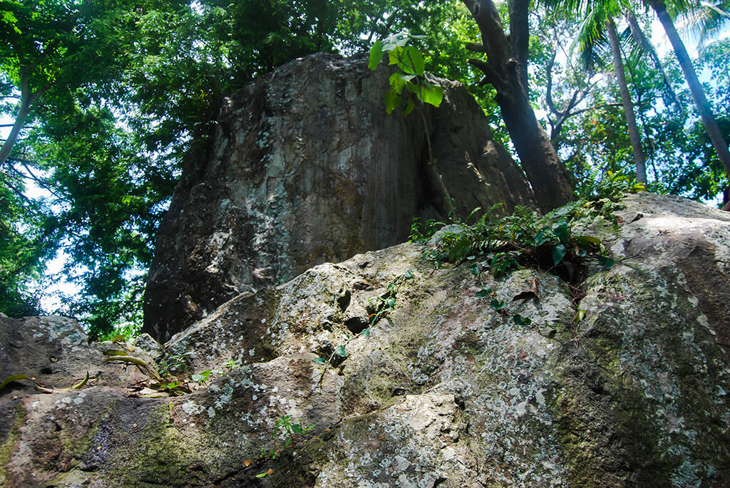 Rizal Provincial Government Official Website